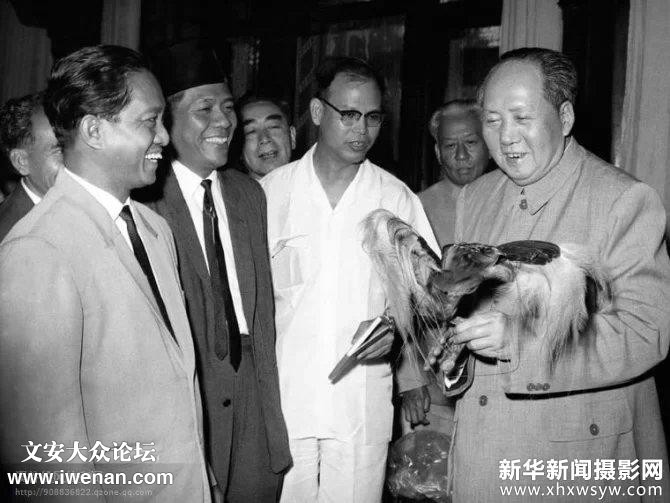 5_1419589616y9TV.jpg